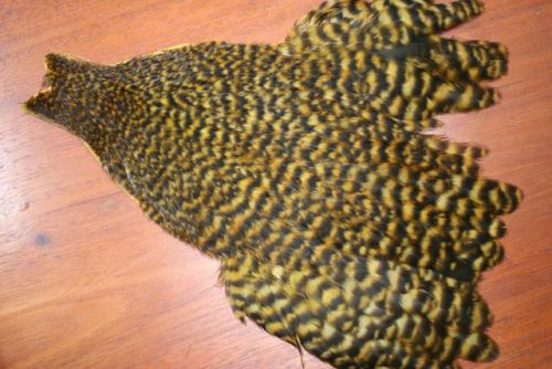 Lathkill Genetic Hen Cape Grizzle Dyed Golden/Brown Olive