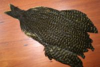 Lathkill Genetic Hen Cape Grizzle Dyed Dark Olive