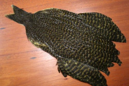 Lathkill Genetic Hen Cape Grizzle Dyed Dark Olive