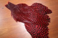 Lathkill Genetic Hen Cape Grizzle Dyed Red