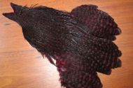 Lathkill Genetic Hen Cape Grizzle Dyed Claret