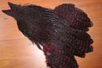 Lathkill Genetic Hen Cape Grizzle Dyed Claret