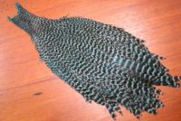 Lathkill Genetic Hen Cape Grizzle Dyed Kingfisher Blue