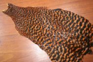 Lathkill Genetic Hen Cape Grizzle Dyed Orange