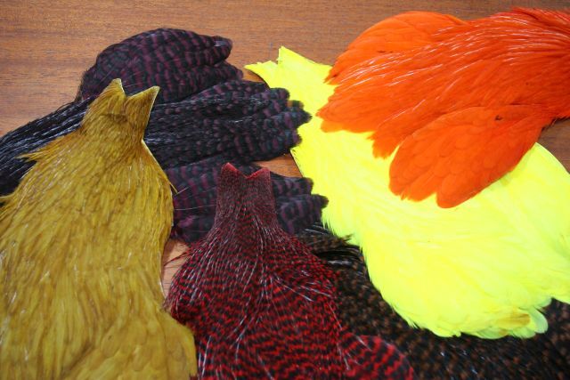 Lathkill Genetic Hen Capes