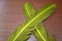 Lathkill Goose Wing Quills Dyed Yellow Olive