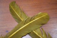 Lathkill Goose Wing Quills Dyed Brown Olive