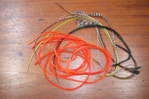 Genetic saddle hackles