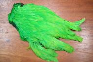 Indian Hen Cape Dyed Highlander Green 