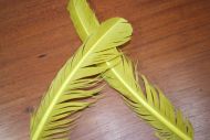 Lathkill Goose Wing Quills Dyed Golden Olive