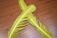 Lathkill Goose Wing Quills Dyed Golden Olive