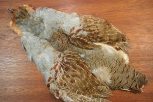 English Grey Partridge Skin