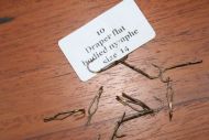 Draper Flat Bodied Nymph Hooks Size 14 Pack of 10