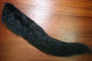 Red Fox Squirrel Tail Dyed Black 