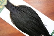 Whiting Hebert Hen Cape Dyed Black
