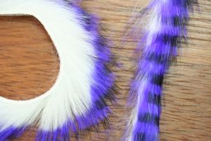 Purple Black Barred Over White