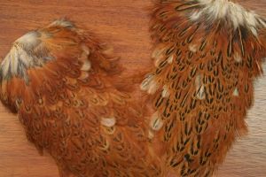 Indian Hen Saddle Speckled Red Game