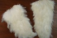 Indian Hen Saddle White