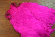Indian Hen Cape Dyed Flo. Pink