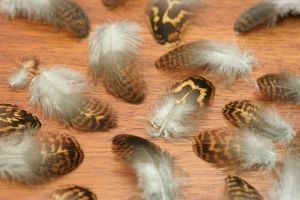 Grouse Body Plumage 2gram pck.