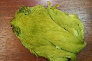 Indian Hen Cape Dyed Olive