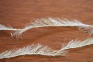 UV Crystal Hackle Polar White