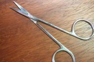 Lathkill 4" Fine Point Scissors