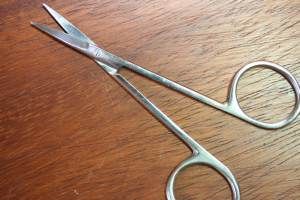 Lathkill 4" Fine Point Scissors