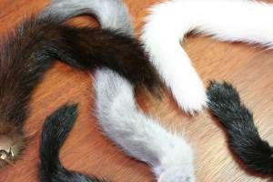 Mink Tails