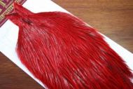 Badger Dyed Red