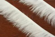 1/8" Crosscut Rabbit Strips White