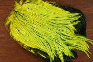 Lathkill Dyed Indian Badger Salmon Cock Capes Flo Yellow