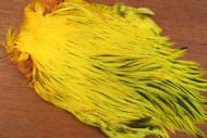 Lathkill Dyed Indian Badger Salmon Cock Capes Sunburst Yellow