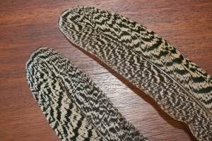 Peacock Wing Quills 1st Quality