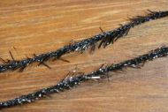Flybox Small Crystal Hackle Jet Black
