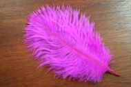 Salmon Turbo Plumes Fuchsia Pink/Magenta