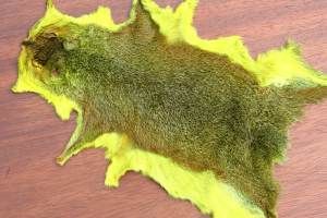 Grey Squirrel Whole Skin Dyed Picric Yellow